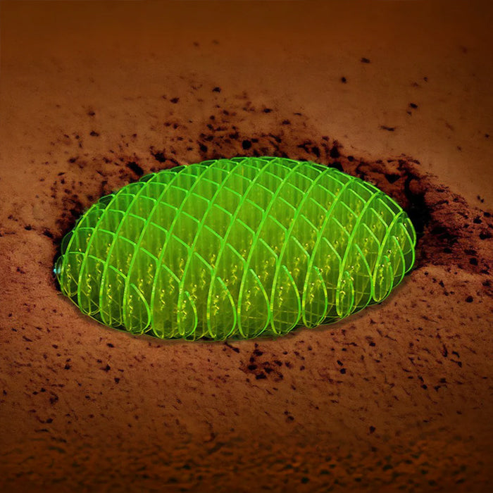 THE FIDGY™️ - focussen, concentreren en zelfs angst verlichten!