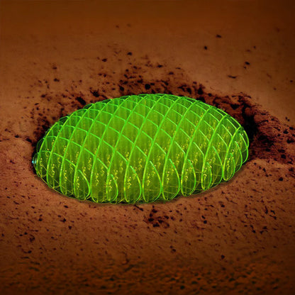 THE FIDGY™️ - focussen, concentreren en zelfs angst verlichten!