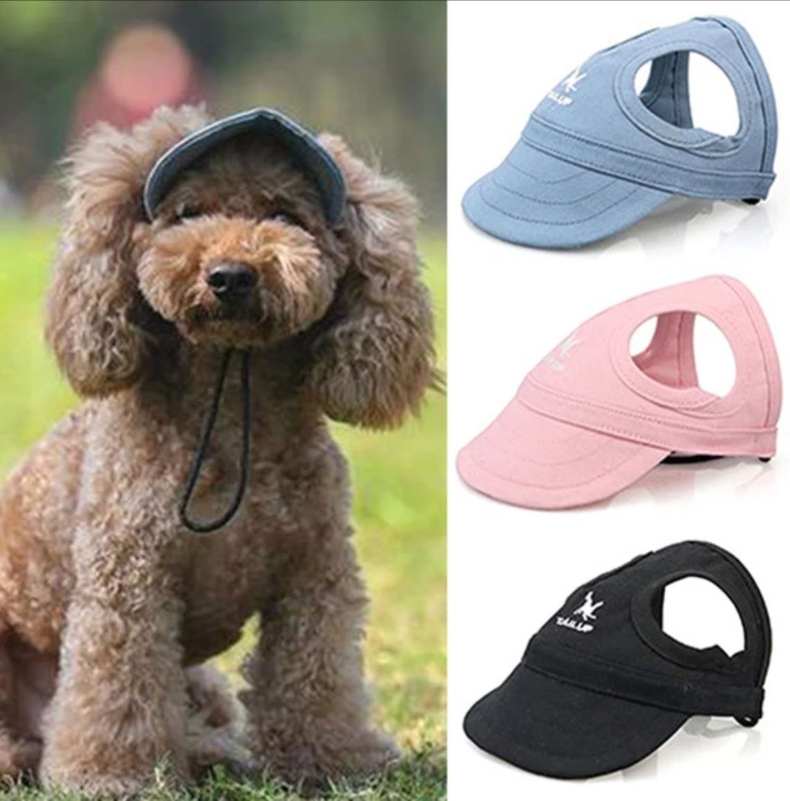 PawShade™️ - Honden Pet